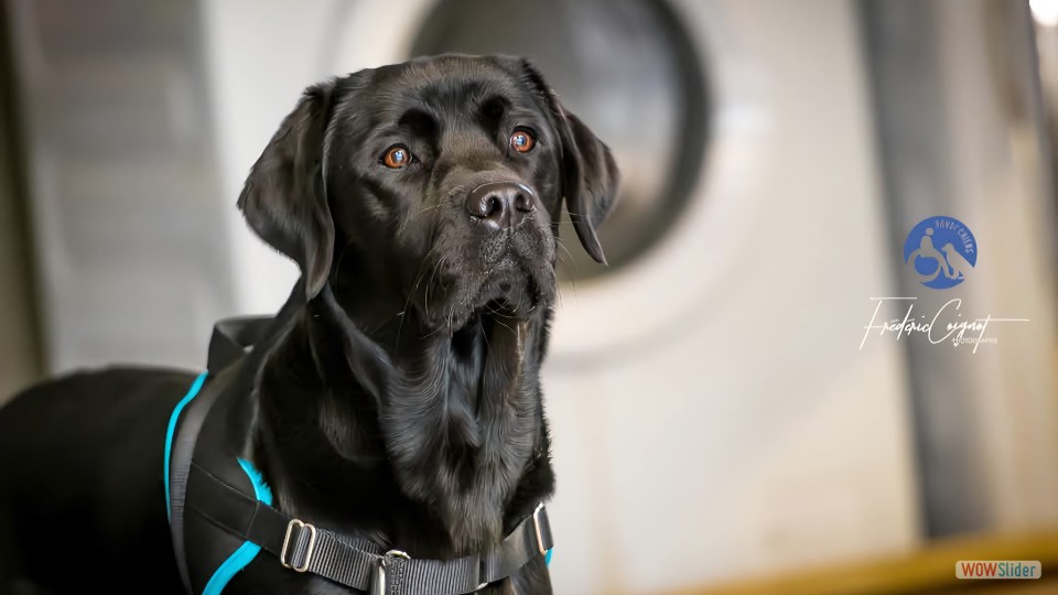 581067790_1407603651369558_230135073943175058_n