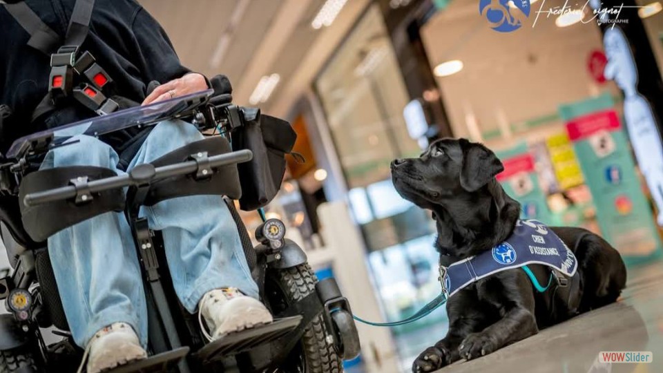 581952404_1407603451369578_3725069541754234197_n