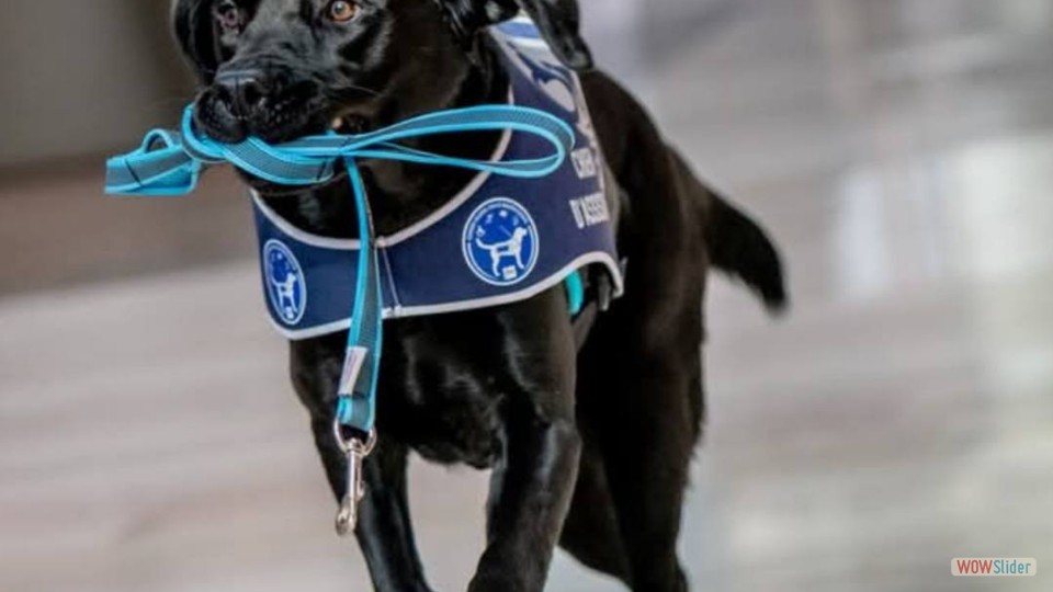 582496927_1407603358036254_4459451327779372578_n